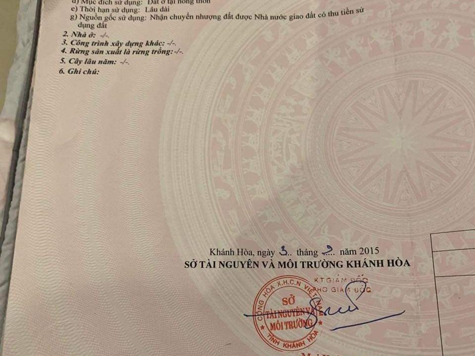 IMG-f99f47f204201ae52305a05a3e99521f-V