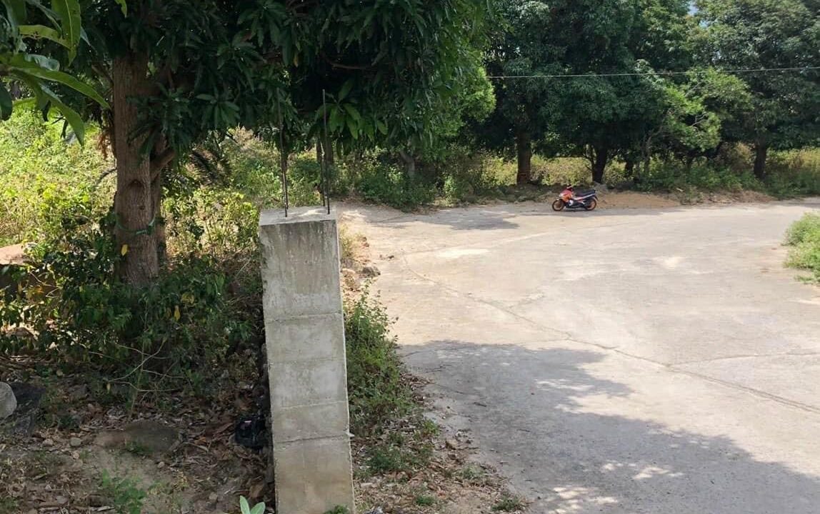 Bán đất rừng Núi Cô Tiên Vĩnh Hòa