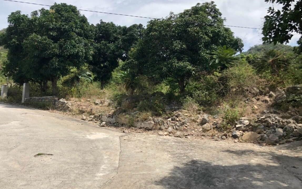 Bán đất rừng Núi Cô Tiên Vĩnh Hòa