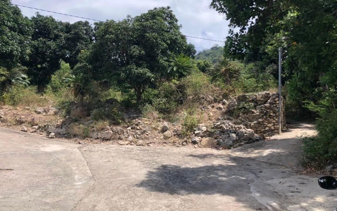 Bán đất rừng Núi Cô Tiên Vĩnh Hòa