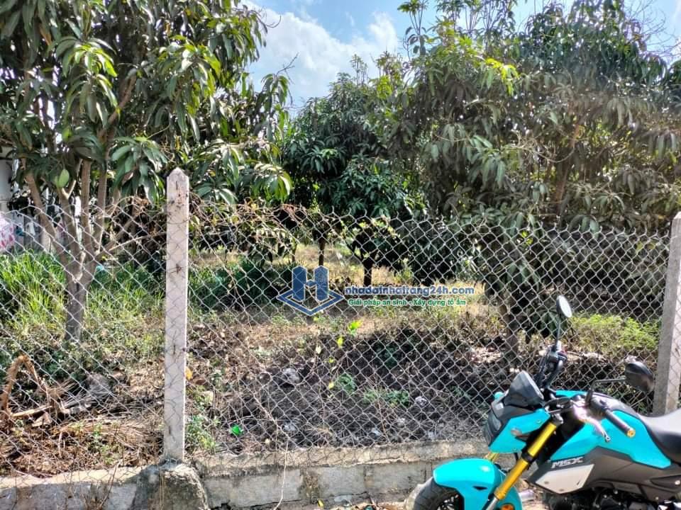 Bán đất Cam Tân Cam Lâm