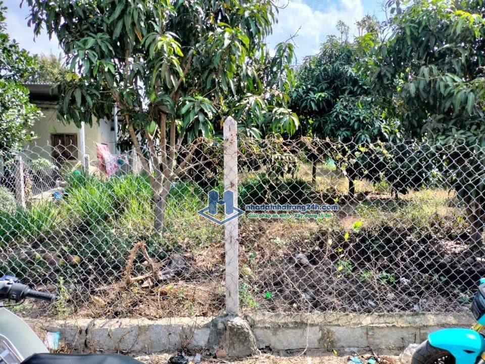 Bán đất Cam Tân Cam Lâm