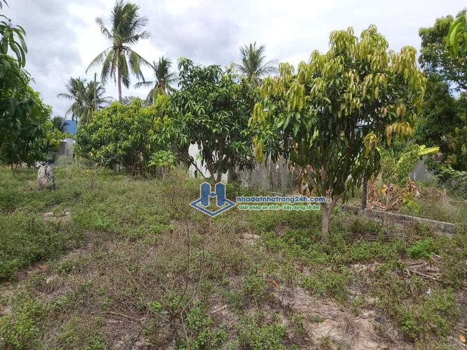 Bán đất Cam Tân Cam Lâm