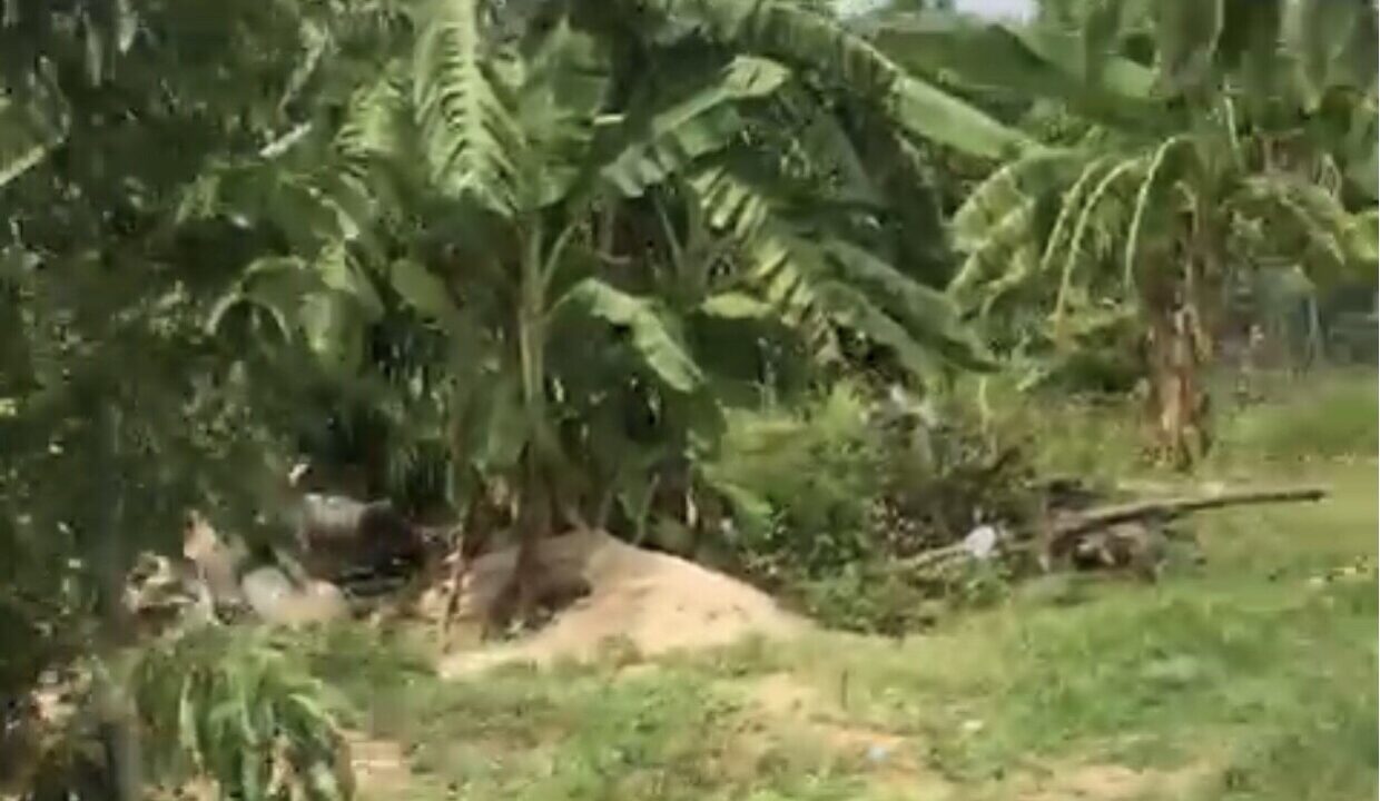 Bán đất vườn Diên Lộc Diên Khánh