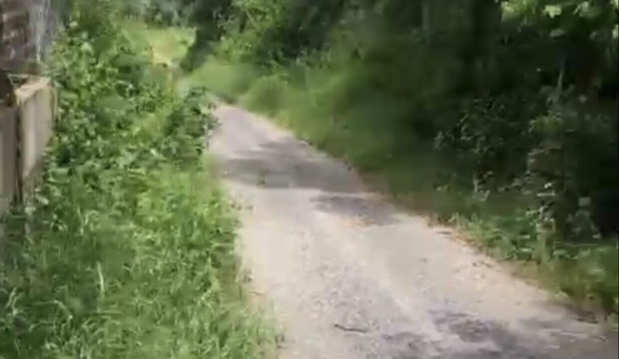 Bán đất vườn Diên Lộc Diên Khánh