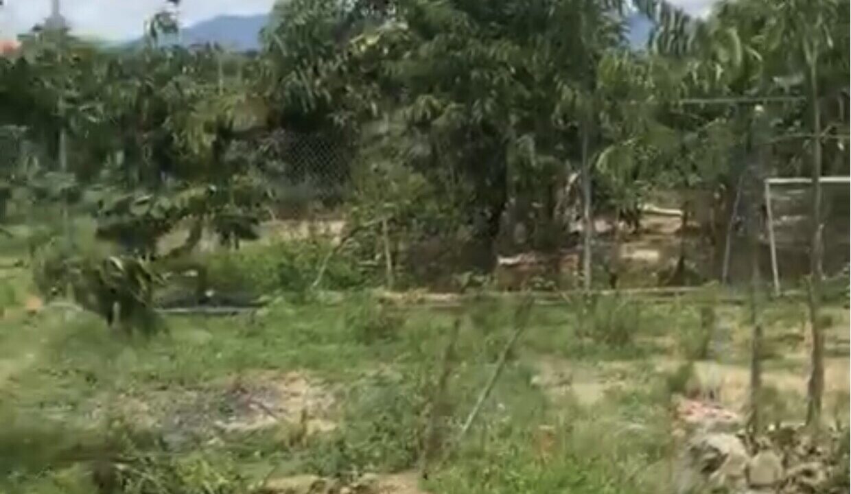 Bán đất vườn Diên Lộc Diên Khánh