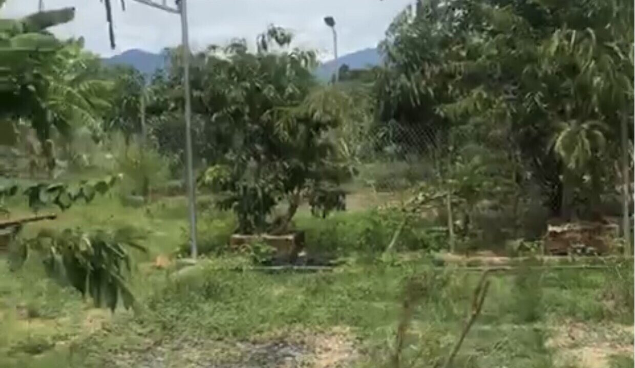 Bán đất vườn Diên Lộc Diên Khánh