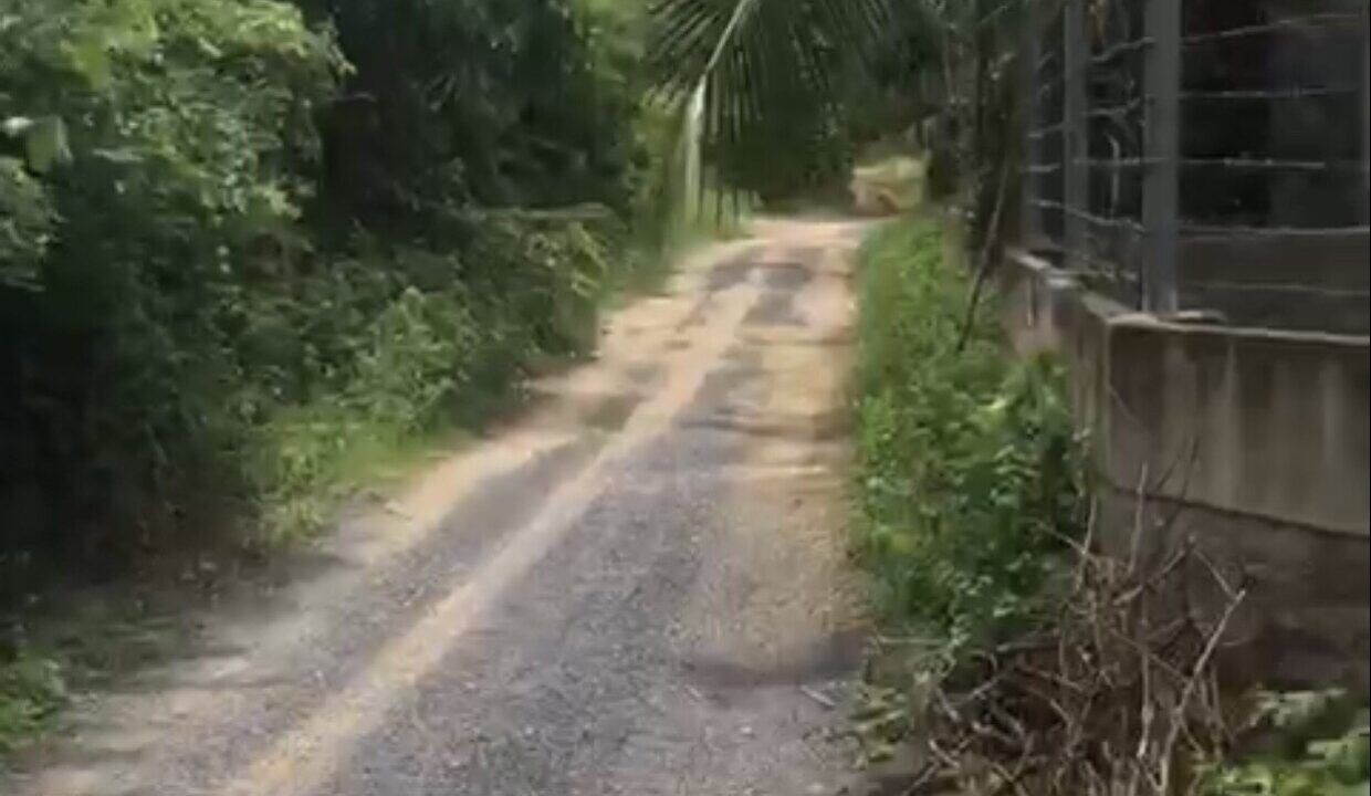 Bán đất vườn Diên Lộc Diên Khánh