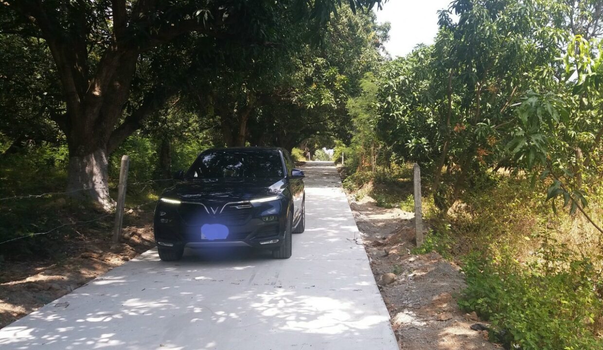 Bán đất Cam Thành Bắc Cam Lâm