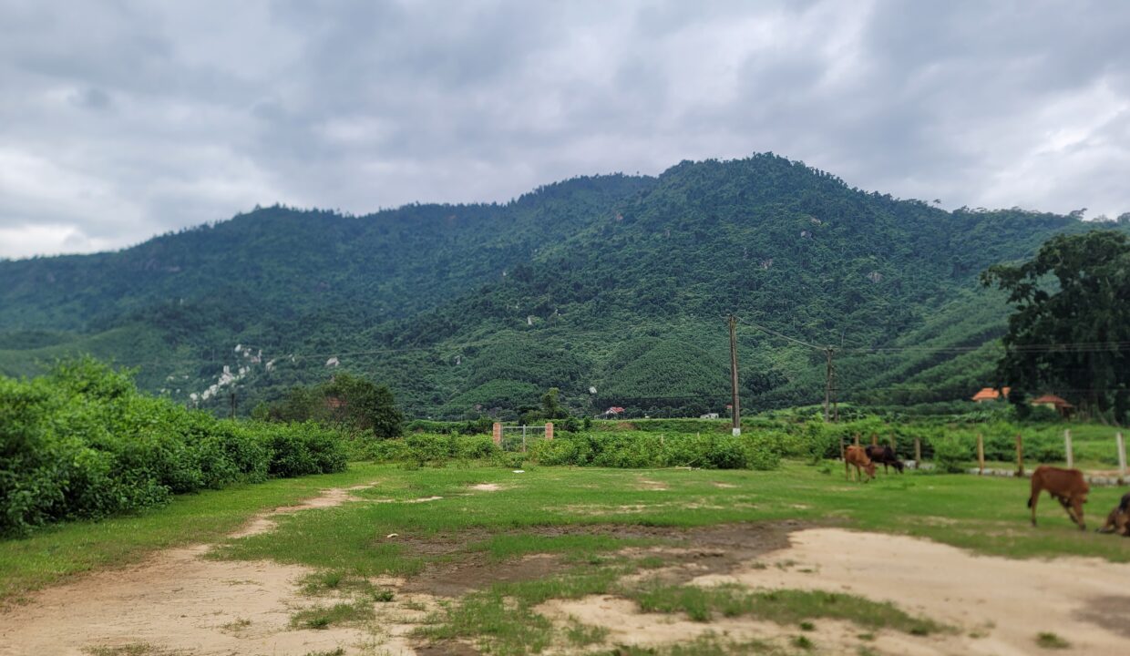 Bán đất View suối Xã Khánh Phú