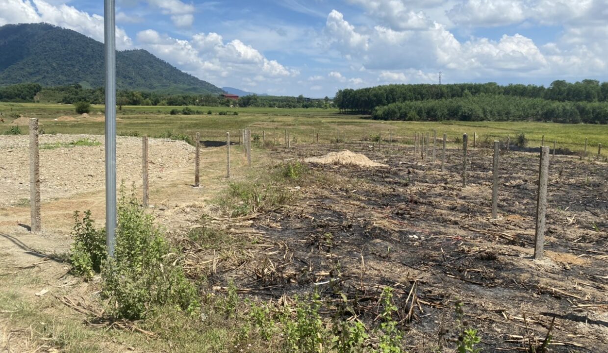 IMG_1653204865968_1653275049646