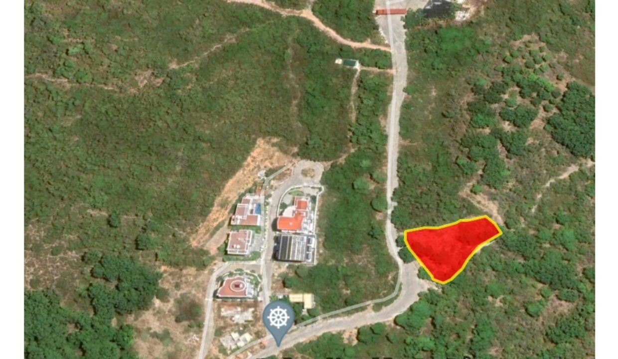 Bán đất rừng Núi Cô Tiên Vĩnh Hòa